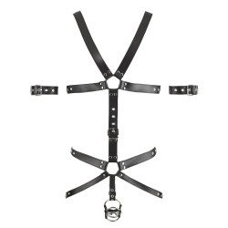 Zado Harnais complet en cuir Zado Noir